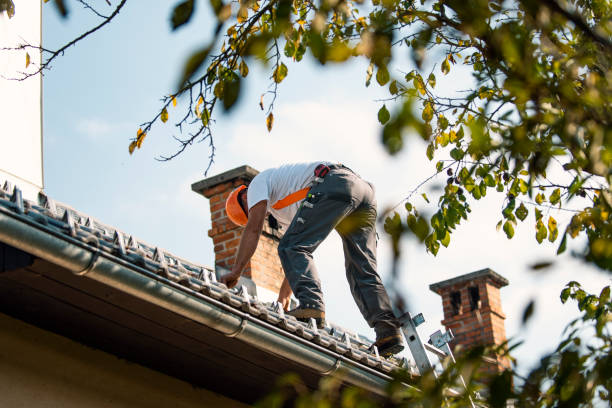 Best Roof Maintenance Services  in Clinton, UT